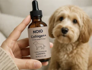 NOIO Premium Liquid Collagen for Dogs – Advanced Peptide Drops for Joint Mobility, Skin & Coat Health (Fast Absorption, All Breeds)